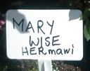 Mary Wise rose photo