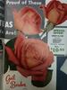 Gail Borden rose photo