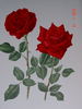 Edith Piaf rose photo