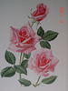 Cordial rose photo