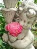Mon Petit Chou rose photo