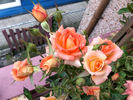 Work of Art ™ rose photo