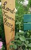 Landfrauen Rose rose photo