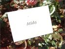 Atida rose photo