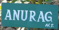 Anurag rose photo