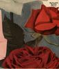 Scarlet Flame rose photo