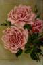 Gartendirektor Ries rose photo
