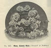 Madame Edmée Metz rose photo