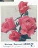 Madame Raymond Gaujard rose photo