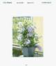 Tra415 clematis photo