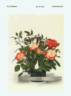 WEKstohoco rose photo
