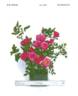 Wekwisogoma rose photo