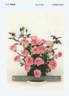 Wektebodoko rose photo