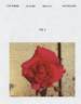 GRAred rose photo