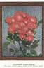 Goldlachs rose photo