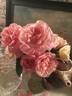 Mademoiselle la Comtesse de Leusse rose photo