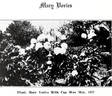 Mary Vories peony photo