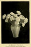 Walter Faxon peony photo