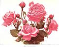 France et Russie rose photo