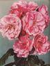 My Fair Lady rose photo