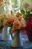 Mrs. Dunlop-Best rose photo