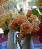 Mrs. Dunlop-Best rose photo