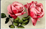 Rainbow rose photo