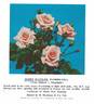 Bobby Dazzler rose photo
