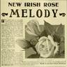 Melody rose photo