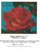 Royal Albert Hall rose photo