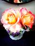 Pierre Tchernia rose photo