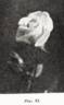 Pius XI rose photo