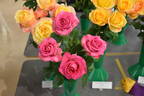 Laser rose photo