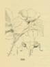 <I>Rosa pinetorum</I> A.Heller rose photo