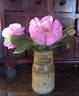 Duchesse de Guermantes rose photo