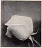 Muriel Grahame rose photo