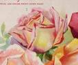 Emile Gonin rose photo