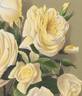 Enfant de Lyon (tea, Avoux rose photo