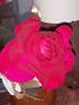 Vélasquez rose photo