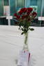 Santa Claus rose photo