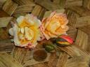 SO17Hug#1 rose photo