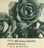 Blumenschmidts Jubiläumsrose rose photo