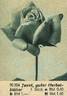 Janet rose photo