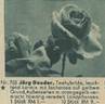 Jörg Geuder rose photo