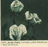Julien Potin rose photo
