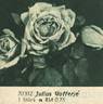 Julius Gofferjé rose photo