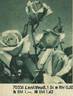 Leni Neuss rose photo