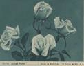Julien Potin rose photo