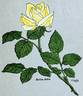Julien Potin rose photo