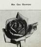 Mrs. George Shawyer rose photo